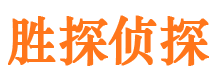 宏伟市侦探调查公司